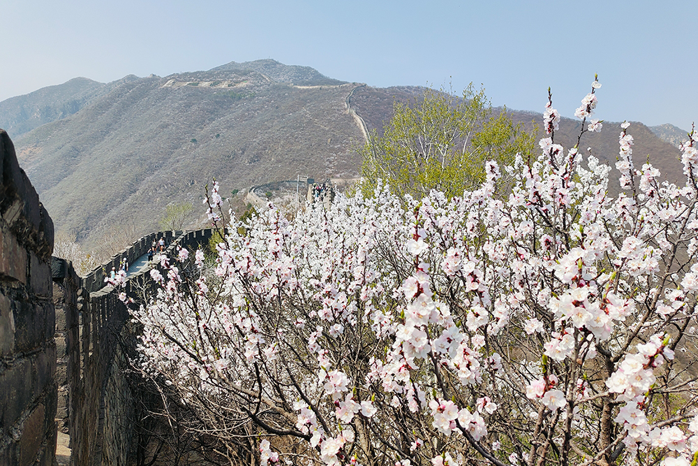 Mutianyu Great Wall Bus Tour