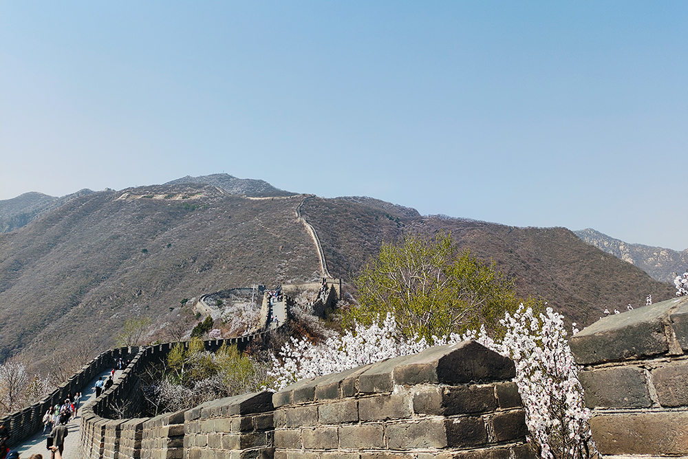 Tour 1 , Mutianyu Great Wall private tour package .