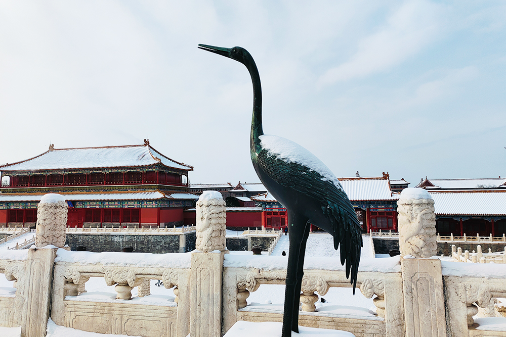 Tour 3  ,  Tiananmen Square . Forbidden City . Temple of Heaven . Qianmen Street .