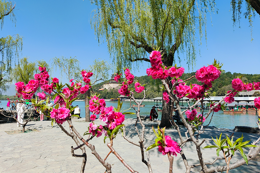 Tour 4 ,  Summer Palace . Olympic Center . Lamah Buddiest Temple . Ride Rickshaw visit Hutong with a local family . Yandaixiejie Hutong and Houhai lake .